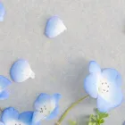 プライバシーポリシー